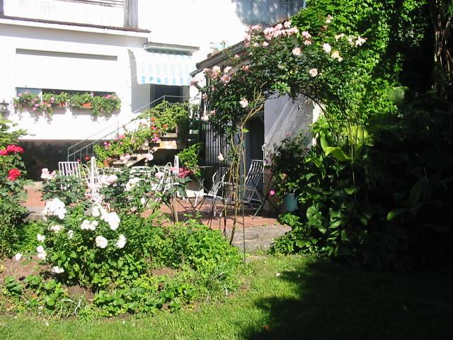 Arco de rosas rosadas junto a la galería de la casa