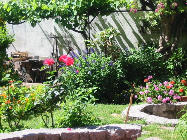 Cantero con rosas y flores de colores en el jardín