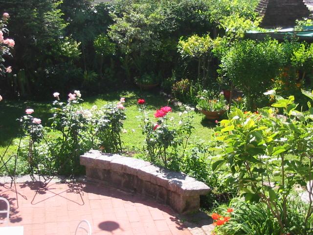 Vista del jardín con césped, rosales y banco de piedra