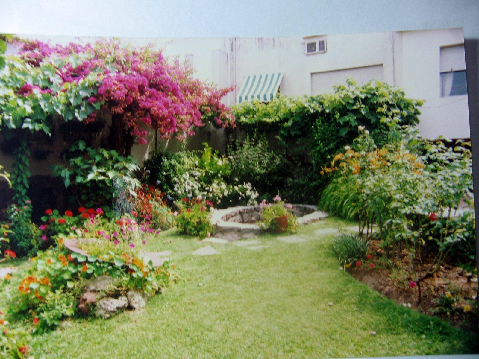 Vista general del jardín con buganvilla y césped